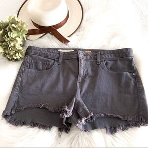 Anthropologie Pilcro And The Letterpress No.31 Gray Shorts cutoffs Size 31